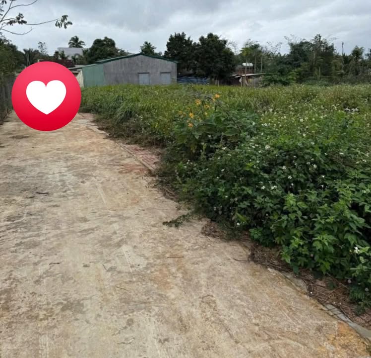 Đất nền Thị trấn Phước An 138m² giá 790 triệu - Cơ hội đầu tư hiếm có!