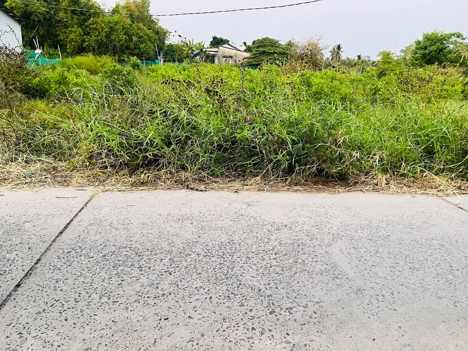 Đất thổ cư 804m² xã Đại Hòa Lộc giá 1.027 tỷ - Bán gấp 2 mặt tiền!