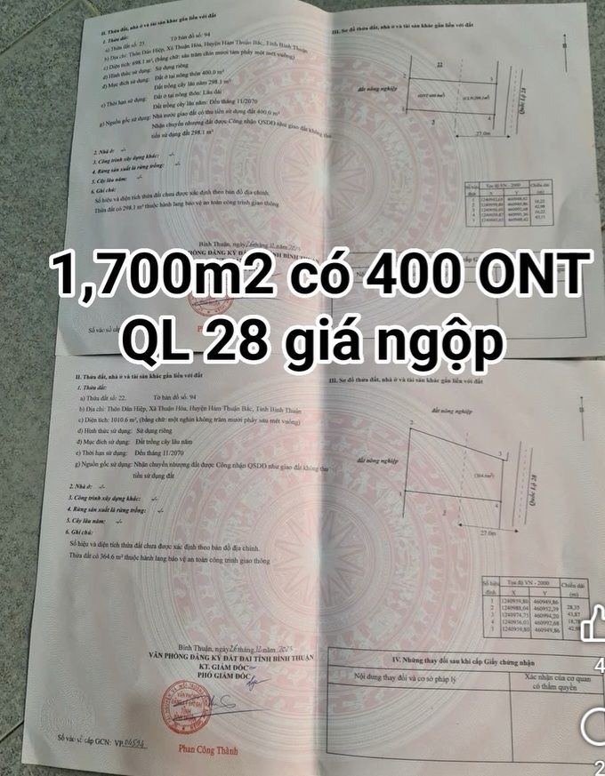 Đất nền mặt tiền Quốc lộ 28, Huyện Hàm Thuận Bắc, 1700m² - Giá chỉ 2 tỷ!