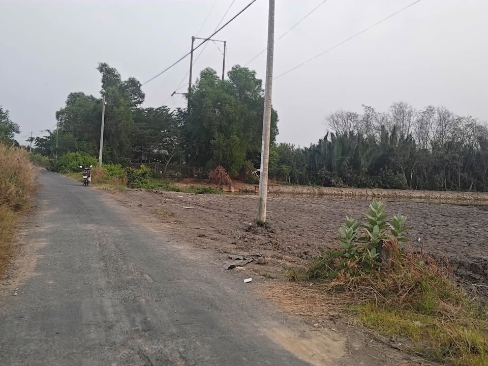 Đất mặt tiền Rừng Sác, xã Bình Khánh 1800m² - Đầu tư lâu dài lý tưởng!