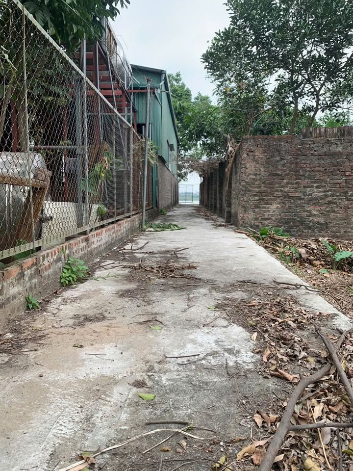 Đất nền 50m² xã Ngũ Hiệp giá 5 tỷ - Đường ô tô tránh nhau