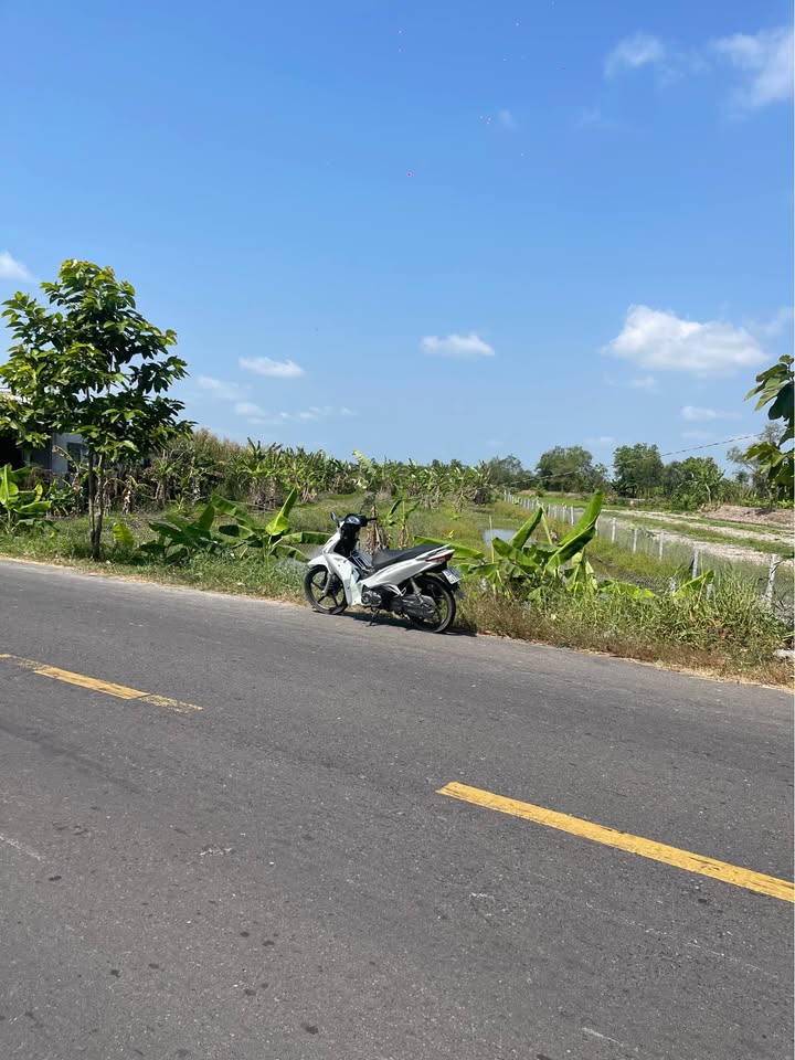 Đất mặt tiền Tỉnh lộ 908, xã Mỹ Thuận, 2300m² chỉ 2.7 tỷ - Đầu tư sinh lời!