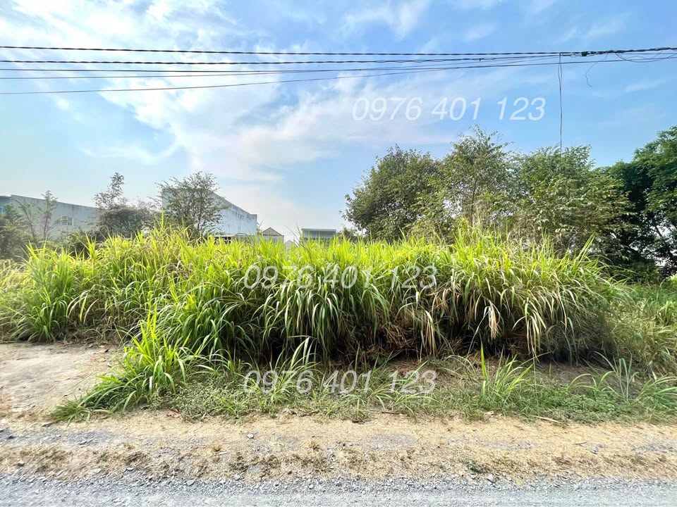 Đất nền đường Suối Lội, Củ Chi 105m² - Sổ hồng riêng, xây dựng tự do!