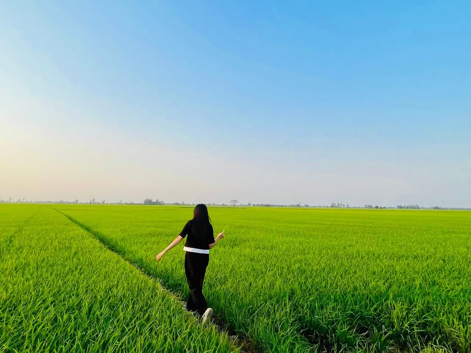 Đất gò cao tại Thị trấn Tân Thạnh, Long An 10.000m² chỉ 849 triệu - Cơ hội đầu tư tuyệt vời!