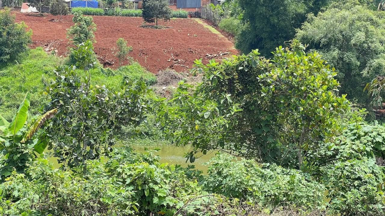 Đất nền view hồ Việt Đức 4, 968m² giá 795 triệu - Cơ hội đầu tư tuyệt vời!