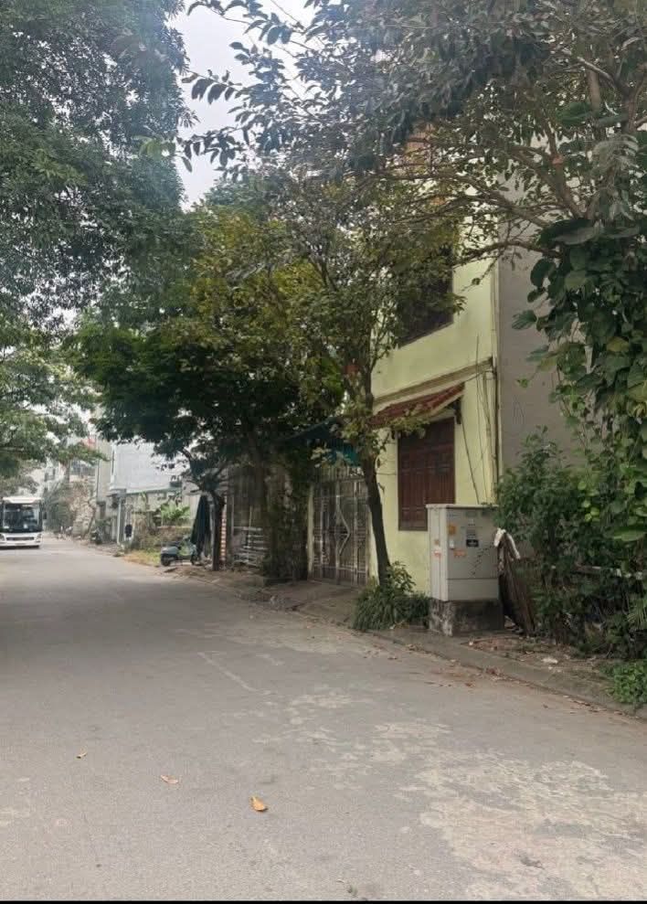 Đất tái định cư Ngọc Hồi 40m² giá thỏa thuận - Vị trí đẹp, đường thông thoáng!