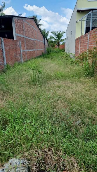 Đất nền 50m² tại Khu phố Mỹ Thành, Nhị Quý - Giá chỉ 550 triệu