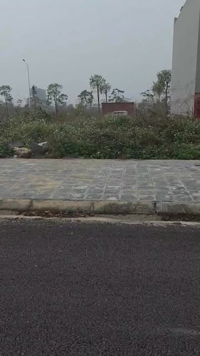 Đất nền Rùa Vàng Lạng Giang 80m² giá chỉ từ 2x tỷ - Cơ hội đầu tư tuyệt vời!