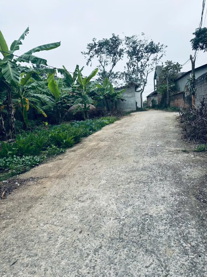 Đất nền Ngọc Vân, Tân Yên 130m² giá 600 triệu - Đầu tư sinh lời ngay!