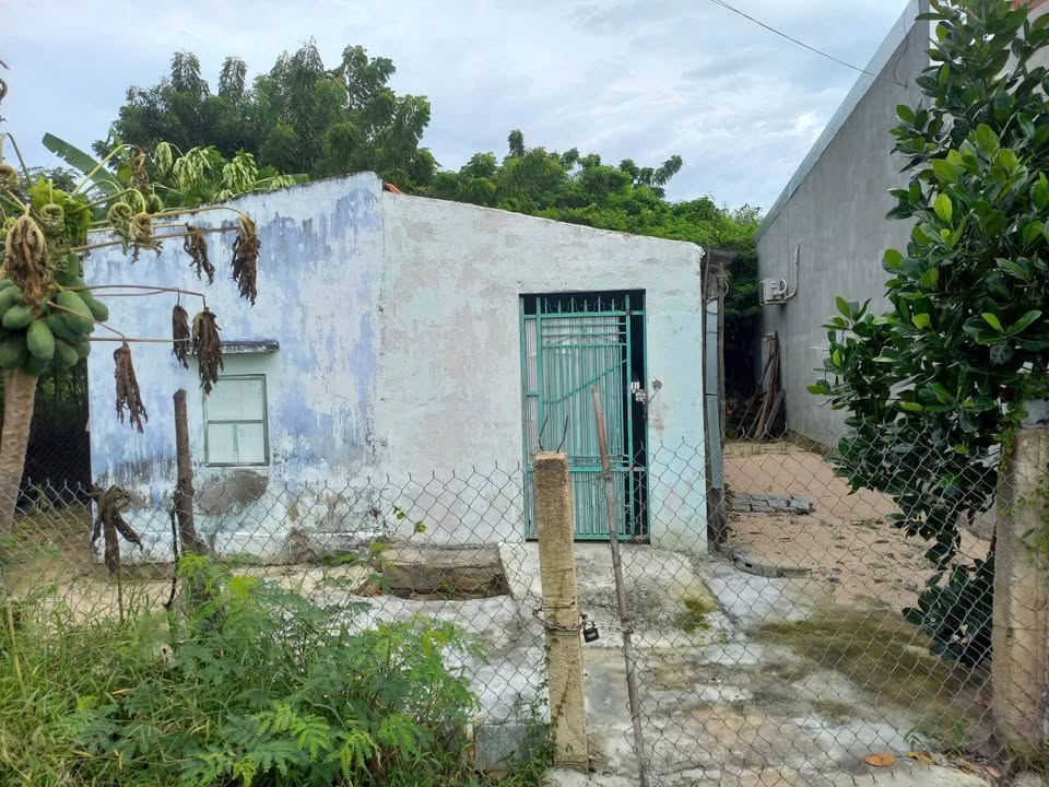 Đất nền 100m² mặt tiền đường ô tô tại Ninh Hải - Giá chỉ 260 triệu