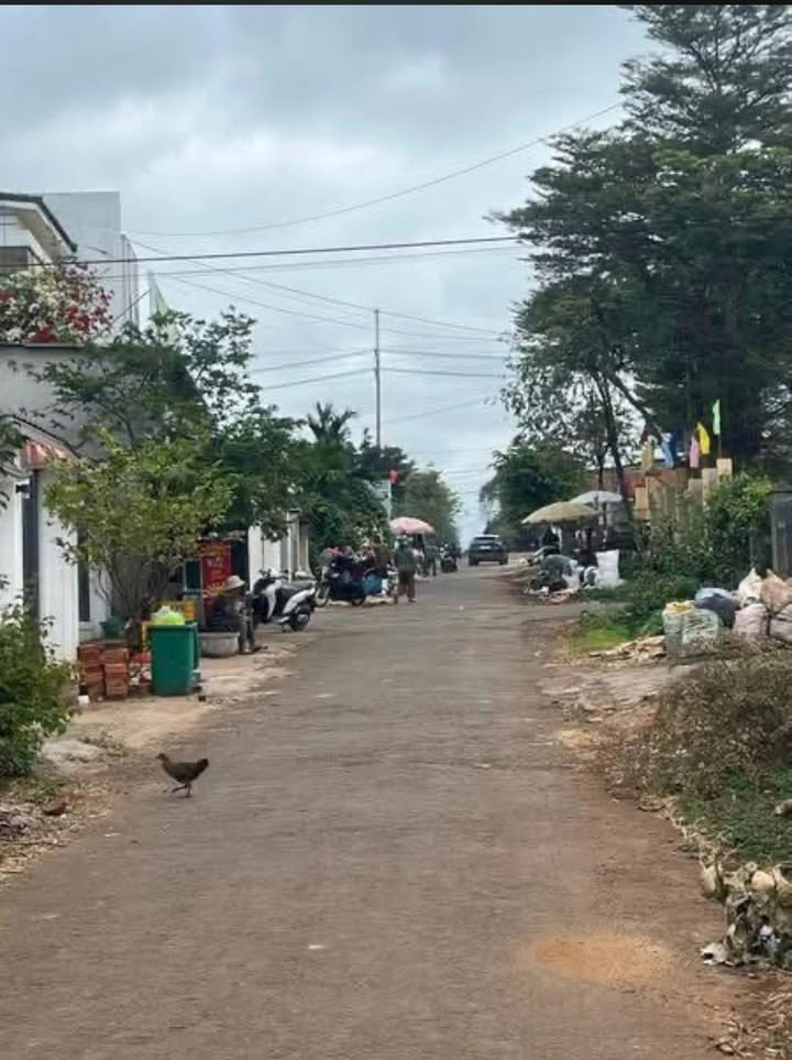 Đất mặt tiền B2 thôn 6 Cư Êbur 520m² giá 4.5 tỷ - Sổ đỏ chính chủ