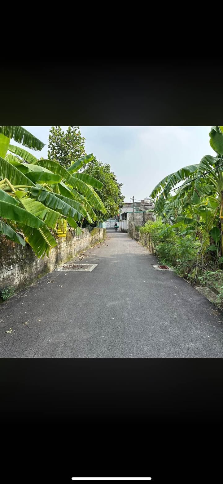 Đất liền kề thôn La Phù, Ninh Khang, 240m² giá 3 tỷ - Mặt tiền rộng, thuận tiện kinh doanh!