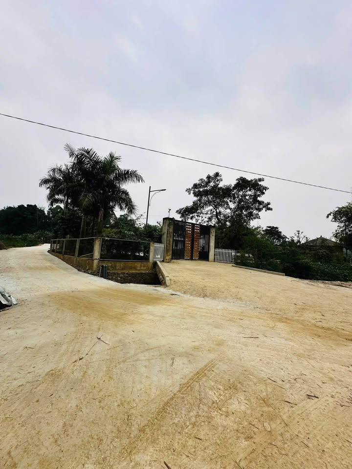 Đất Nông Tiến, Tuyên Quang 100m² giá 700 triệu - Cơ hội đầu tư tuyệt vời!