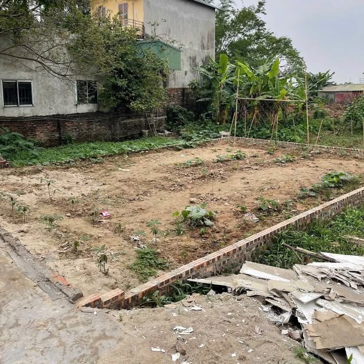 Đất nền Ngọc Hồi, Huyện Thanh Trì 60m² giá 4.45 tỷ - Đầu tư sinh lời ngay!