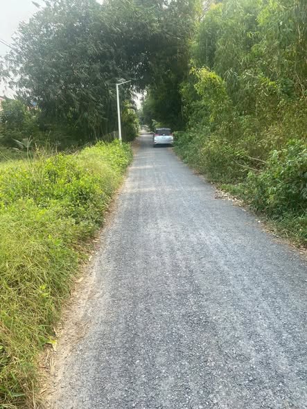 Đất nông nghiệp Xã Mỹ Hòa, Huyện Tháp Mười, Diện tích 1.8ha, Giá 2.16 tỷ - Đầu tư sinh lời ngay!