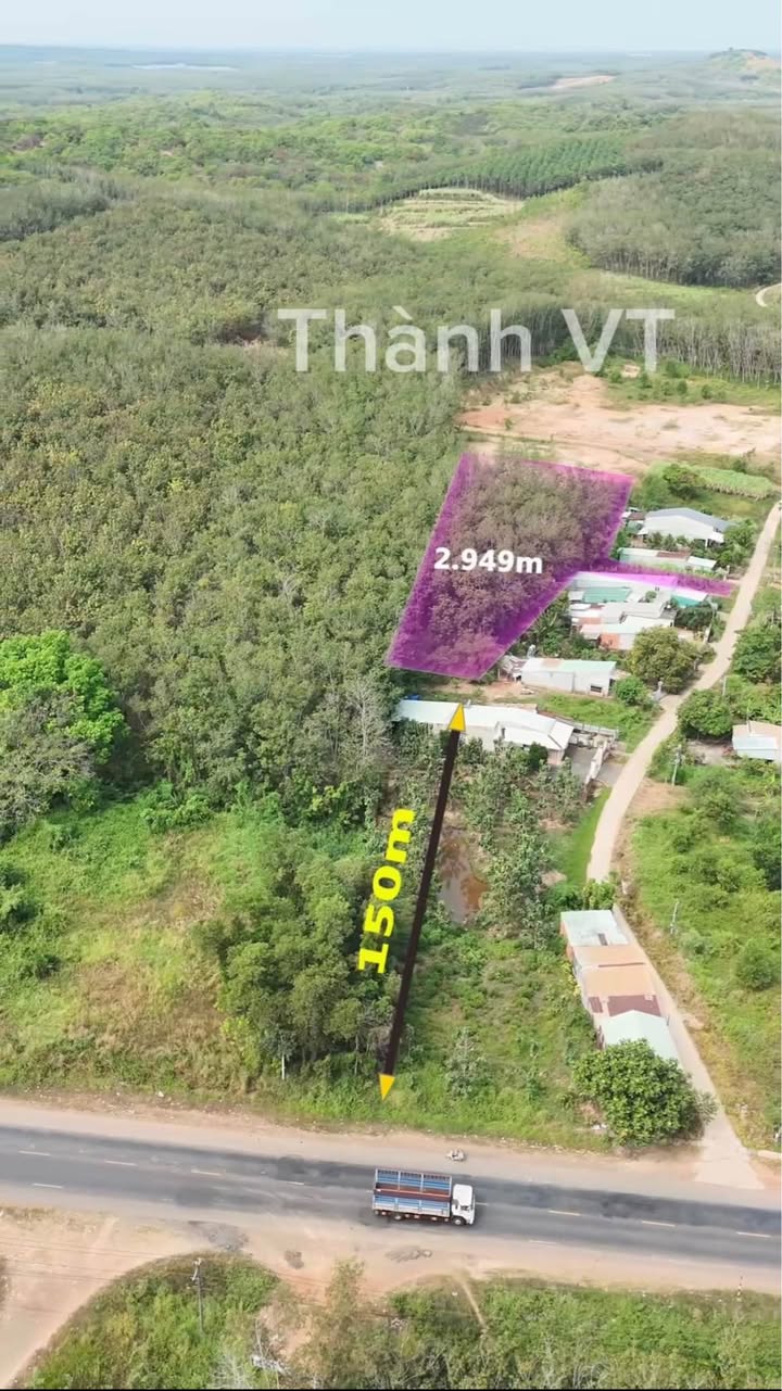 Đất thổ cư 3000m² tại Huyện Đồng Phú, Bình Phước - Giá chỉ 1.2 tỷ thương lượng!