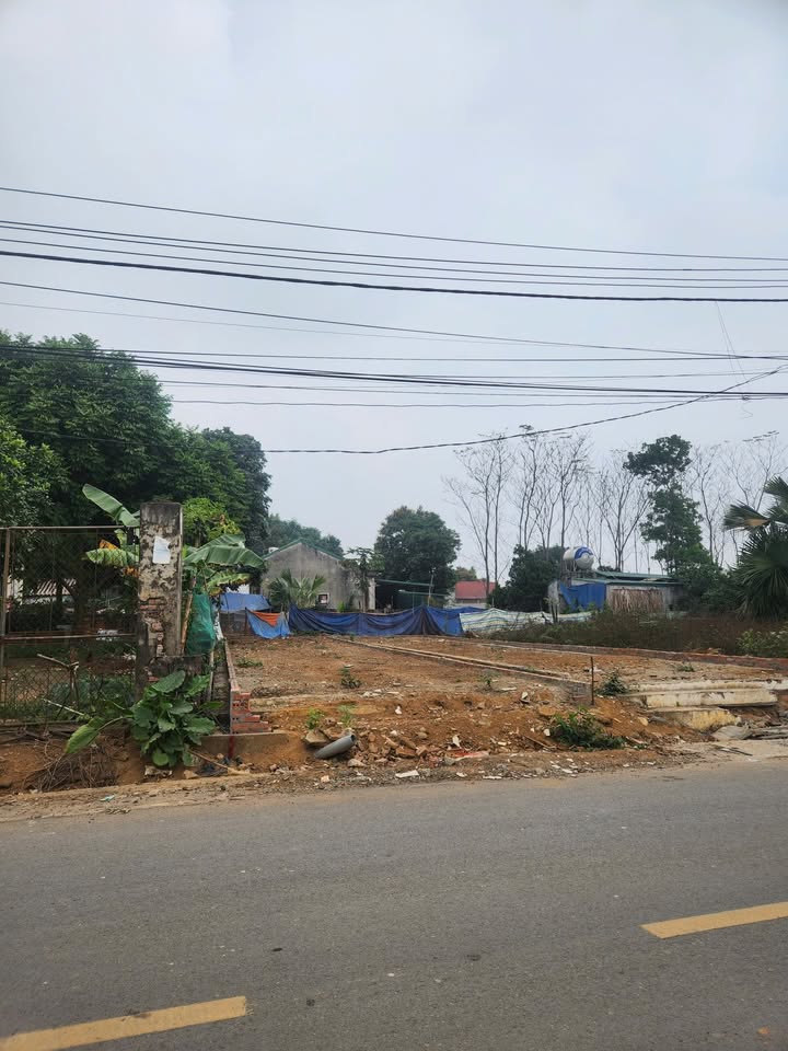 Đất nền chính chủ Xã Thanh Đình 125m² giá chỉ 2 tỷ - Đường rộng, vị trí đẹp!