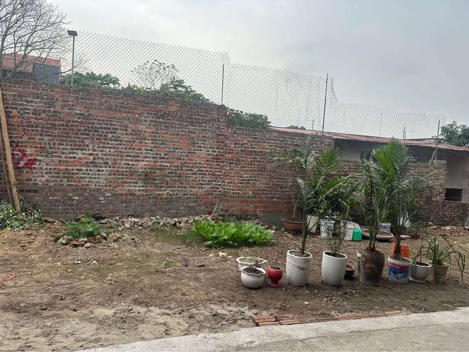 Đất nền phố Tân Hưng, Phường Âu Cơ, 50m² giá chỉ 1.2 tỷ - Đầu tư sinh lời ngay!