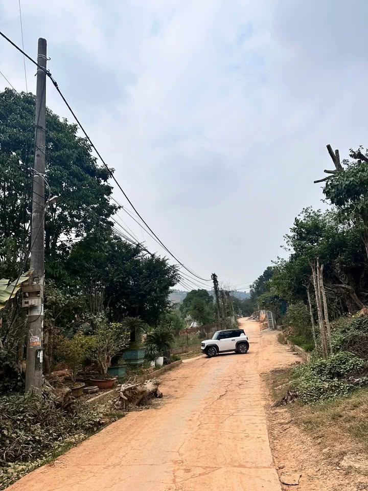 Đất thổ cư Kim Bình 103m² giá thỏa thuận - Vị trí đẹp, đầu tư sinh lời!