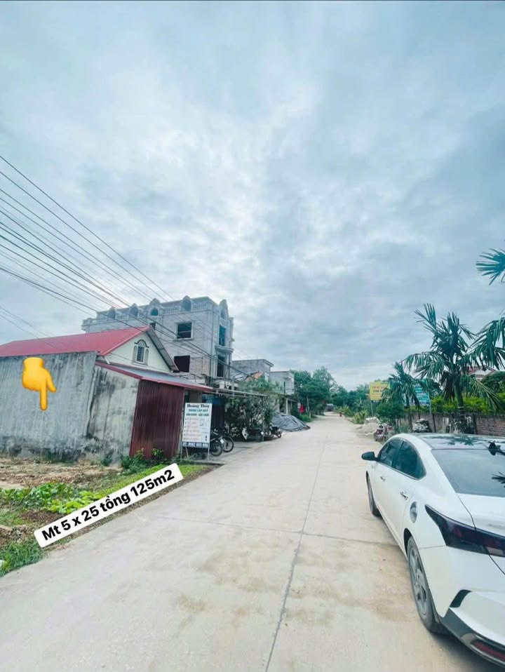 Đất đấu giá Tân Trung, Tân Yên 125m² - Cơ hội đầu tư hấp dẫn!