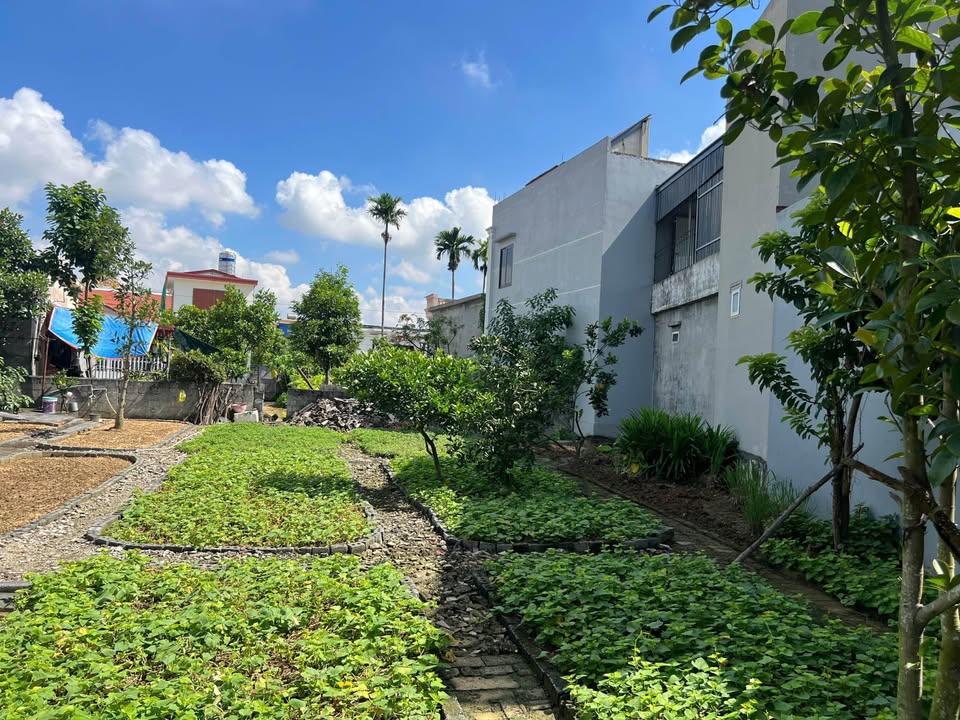 Nhà vườn tại Thuận Thiên, Kiến Thụy 364m² giá chỉ 2.45 tỷ - Cơ hội vàng cho năm mới!