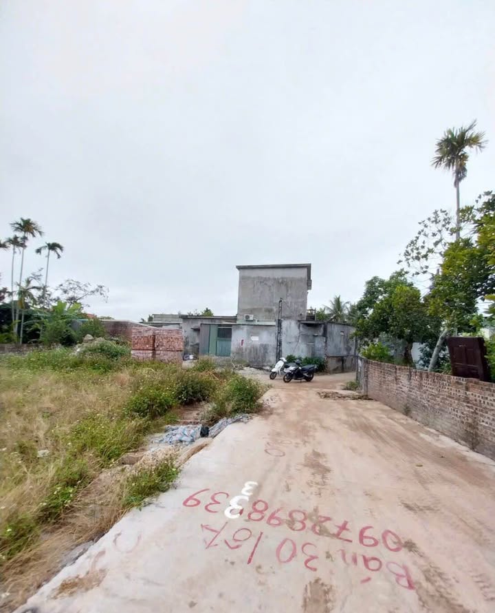 Đất nền TDP Kiều Hạ 2, Quốc Tuấn, An Lão 51.7m² giá 750 triệu - Đầu tư sinh lời ngay!