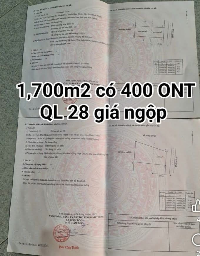 Đất nền 4600m² mặt tiền Quốc lộ 28, xã Thuận Hòa - Giá đầu tư chỉ 2 tỷ!