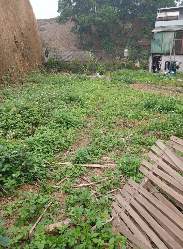 Đất nền đường Hoàng Quốc Việt, xã Bình Thành, 197m² - Cơ hội đầu tư vàng!