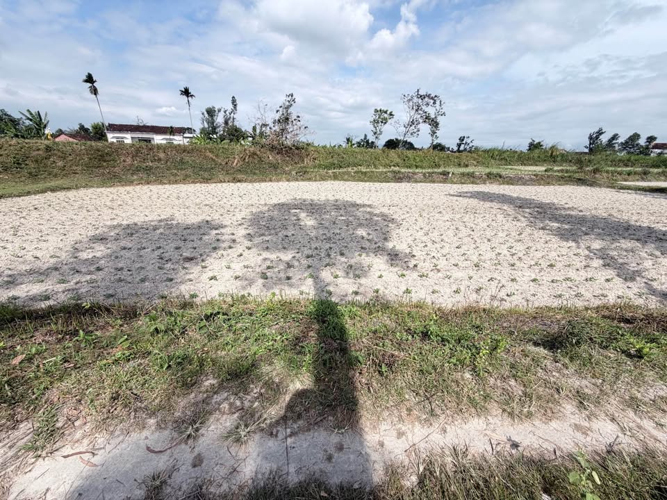 Đất trồng cây 1000m² tại Tây Sơn, Bình Tân - Giá chỉ 189 triệu!