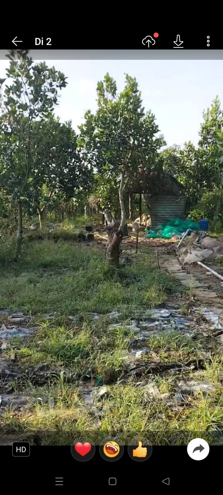 Đất vườn Mỹ Đông, Tháp Mười 10.000m² giá chỉ 350 triệu - Cơ hội đầu tư tuyệt vời!