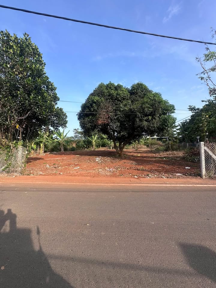 Đất nền 1160m² mặt tiền đường Phước Thọ - Tiềm năng đầu tư hấp dẫn!