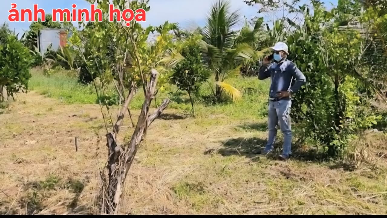 Đất thổ cư Trảng Bom 100m² giá 750 triệu - Cơ hội đầu tư sinh lời!