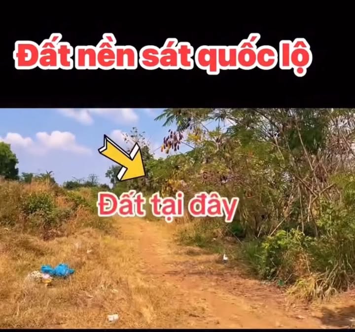 Đất nền thổ cư Ngọc Định 150m² giá chỉ 480 triệu - Cơ hội đầu tư tuyệt vời!