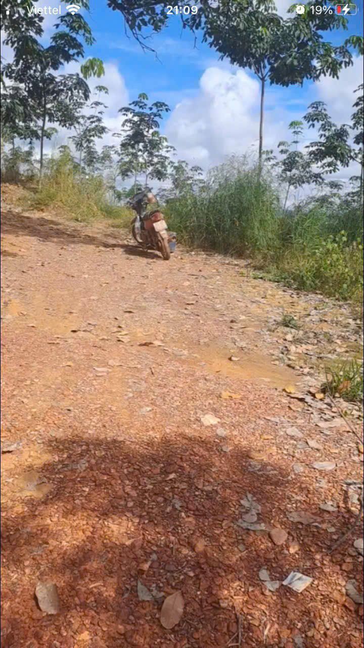 Đất nông nghiệp Phú Bình, Phú Riềng 20,000m² giá 2.5 tỷ - Sổ đỏ chính chủ, ô tô tới nơi!