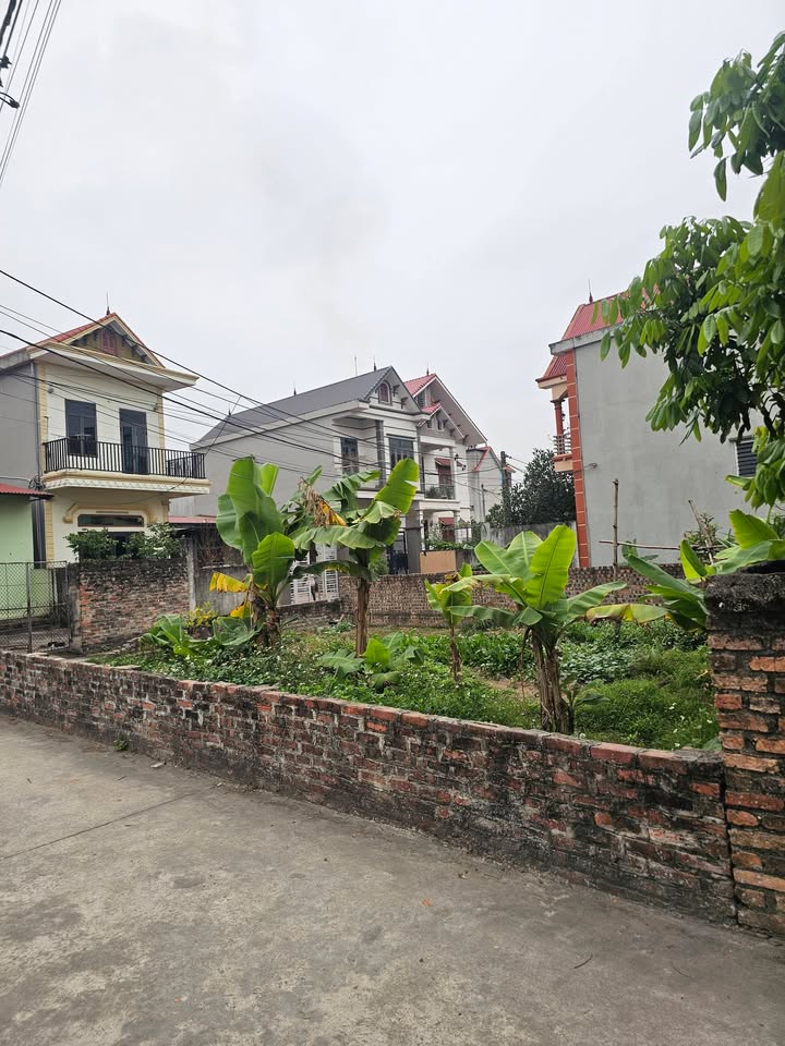 Đất Lạc Nông - Mai Đình 72m² giá 2.65 tỷ - Ô tô vào tận nơi!