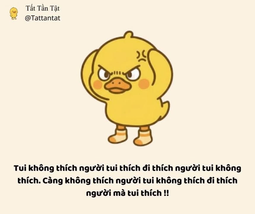 Đất nền xã Ninh Điền, huyện Châu Thành, 150m² giá chỉ từ 1xx triệu - Cơ hội đầu tư tuyệt vời!