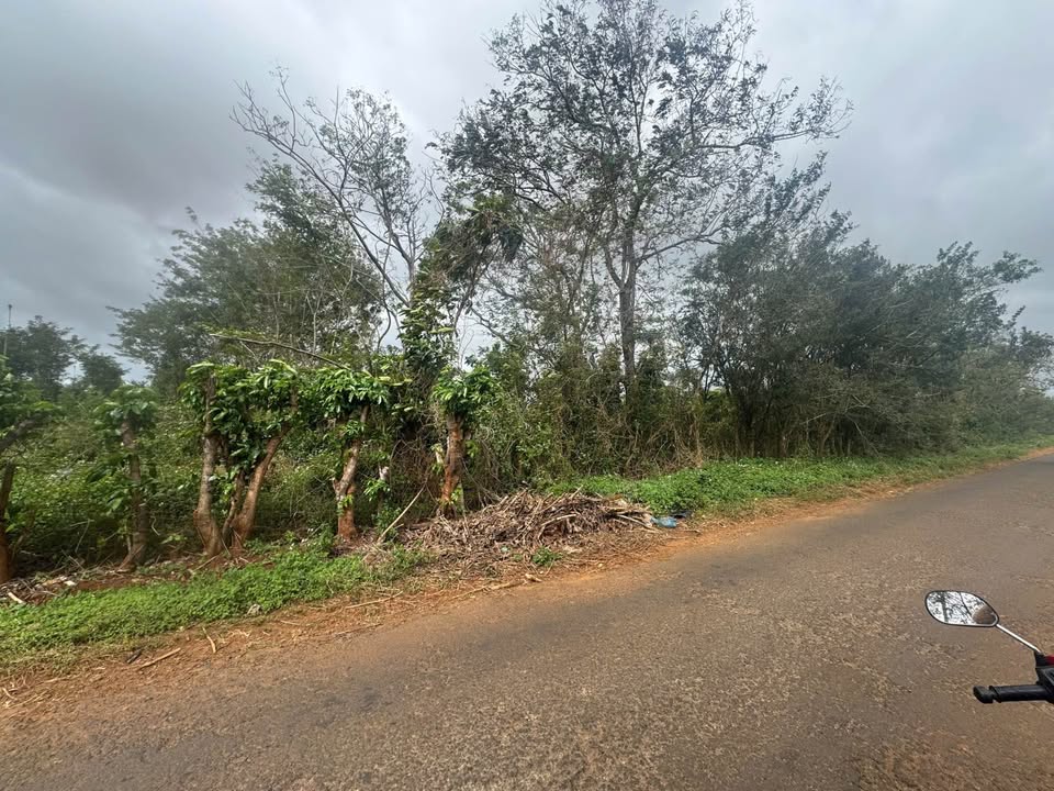 Đất mặt tiền Trương Định, An Phú, 612m² giá 82.62 tỷ - Pháp lý rõ ràng!