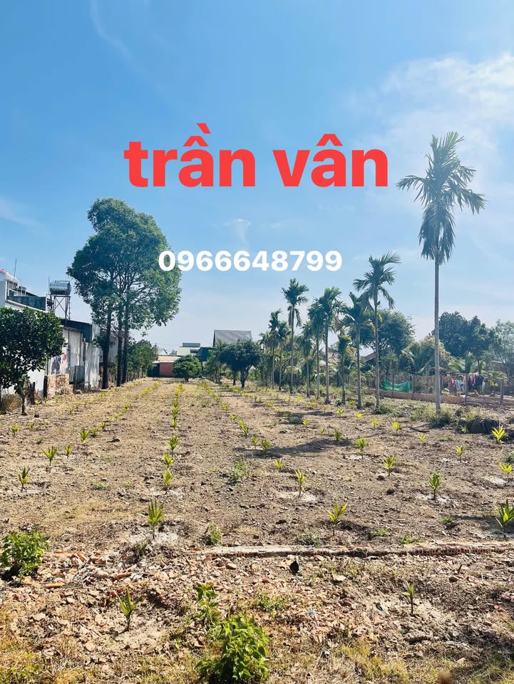 Đất thổ cư rộng 1105m² tại Thị trấn Ea T'Ling - Giá tốt 11.05 tỷ