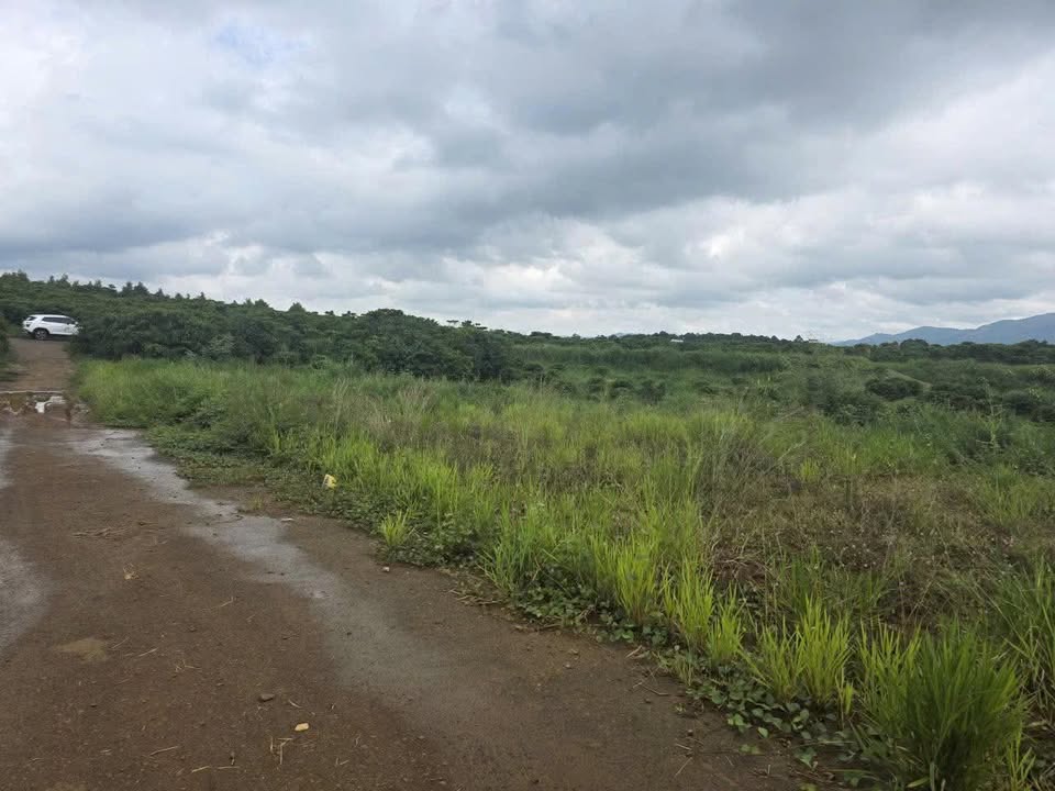 Đất thổ cư Xã Lộc An, Bảo Lâm 147m² giá 1.45 tỷ - Cơ hội đầu tư tuyệt vời!