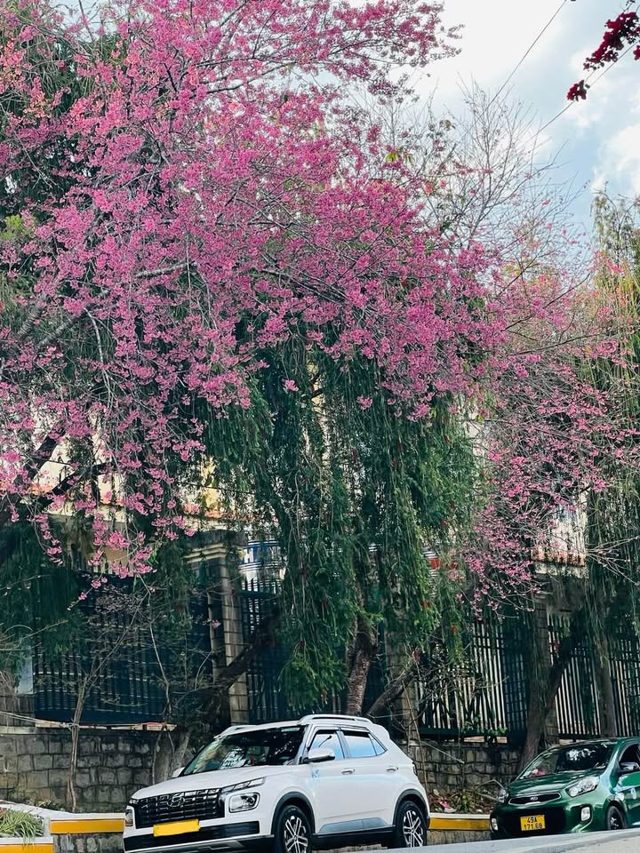 Nhà riêng Phường 6 Đà Lạt 72m² giá 3.99 tỷ - Tiện ích đầy đủ xung quanh!