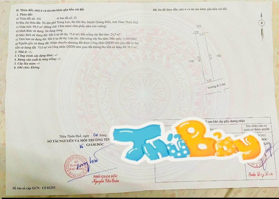 Đất Sịa, Quảng Điền 99.5m² giá 800 triệu - Đường thông thoáng, dân cư hiền hòa!