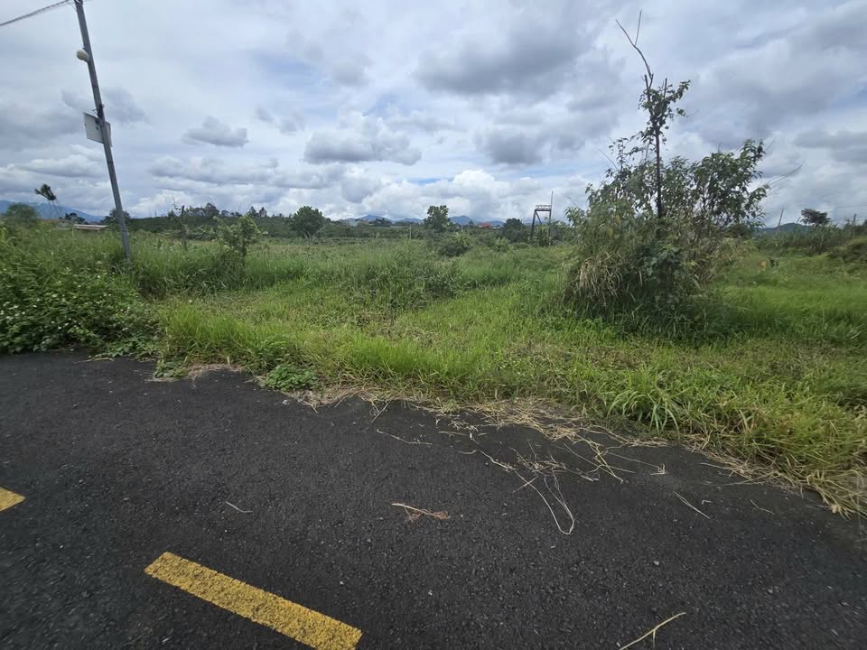 Đất thổ cư 220m² tại hẻm nhựa 134 Phùng Hưng, Bảo Lộc - Giá ngộp chỉ 1.35 tỷ!