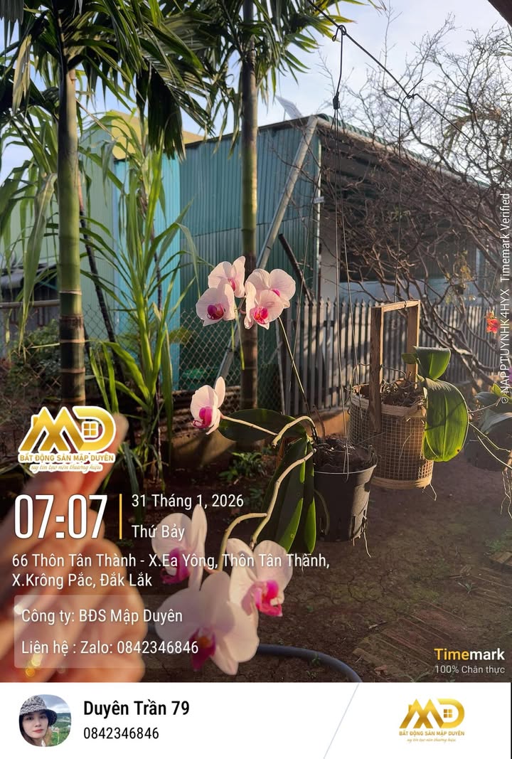 Đất nền Thị trấn Phước An 270m² giá 2.16 tỷ - Cơ hội đầu tư tuyệt vời!