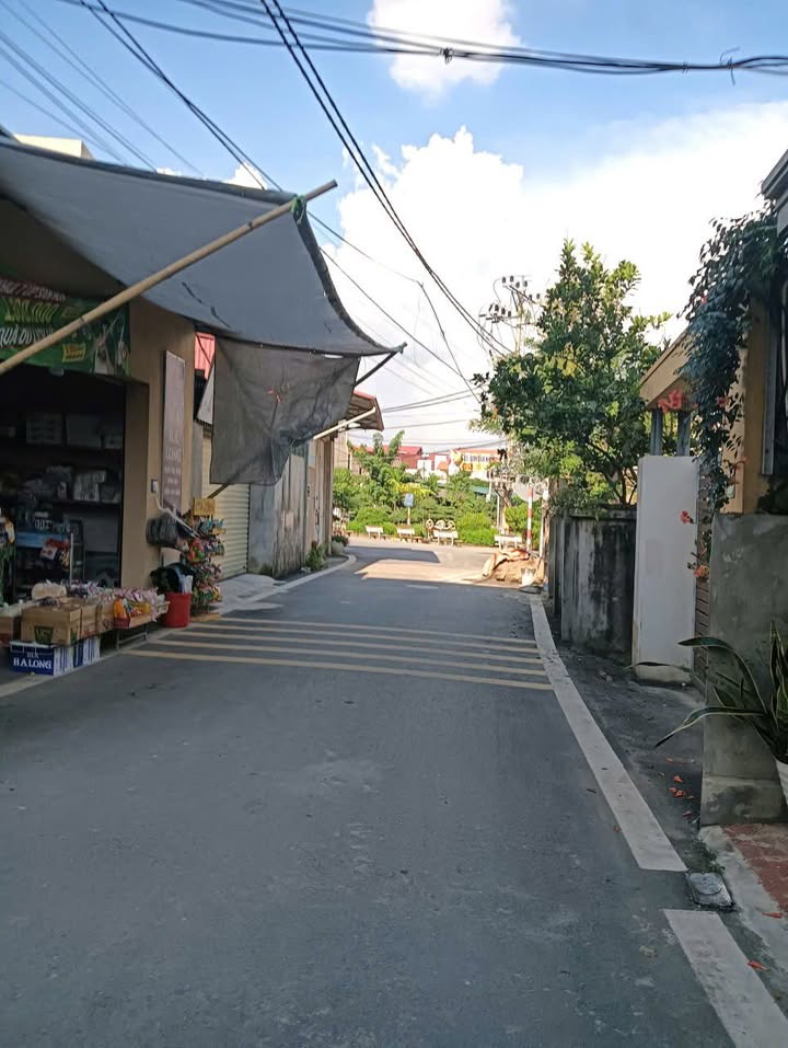 Đất nền đầu tư Xã Tự Nhiên 52,9m² giá 3,2 tỷ - Tiềm năng sinh lời cao!