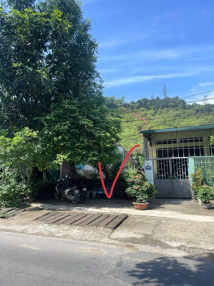 Đất thổ cư Đốc Ba Hơi, Bắc Hà 100m² giá 1.69 tỷ - Cơ hội đầu tư hấp dẫn!