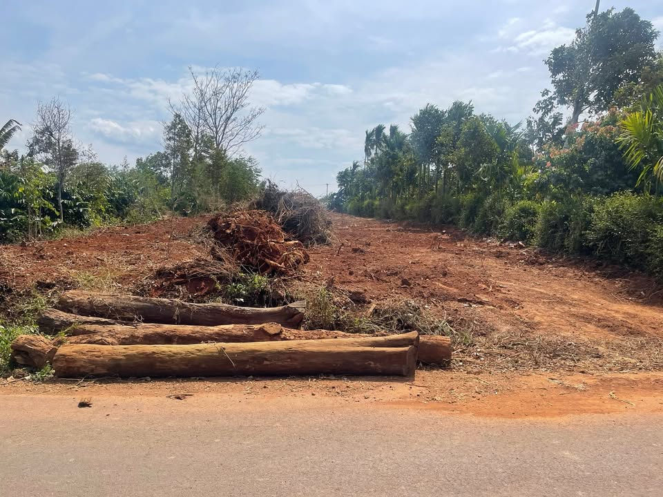 Đất thổ cư Hòa Thắng Đắk Lắk 377m² giá 1.74 tỷ - Đầu tư sinh lời ngay!