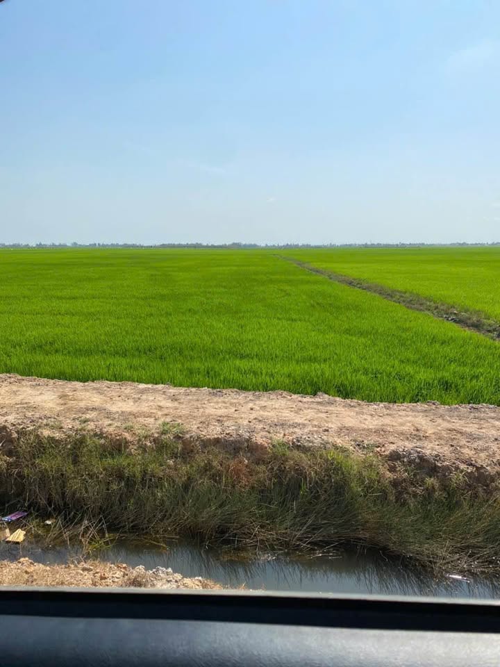 Đất nông nghiệp xã Phú Mỹ Giang Thành 203 công giá 85 triệu - Đầu tư sinh lời ngay!