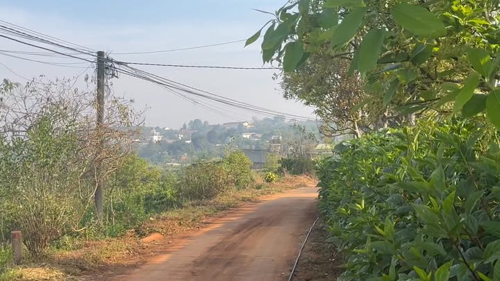 Đất nền xã Tân Hà 1000m² - Đầu tư sinh lời ngay