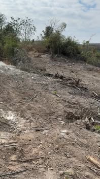 Đất nông nghiệp 1ha tại Ea H'leo, Đắk Lắk giá 1.15 tỷ - Ôm suối đẹp như mơ!