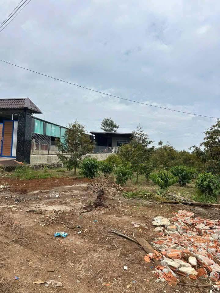 Đất Farm Thôn 3 Hòa Tiến 2100m² giá 5 tỷ - Vị trí đẹp, tiện ích đa dạng!